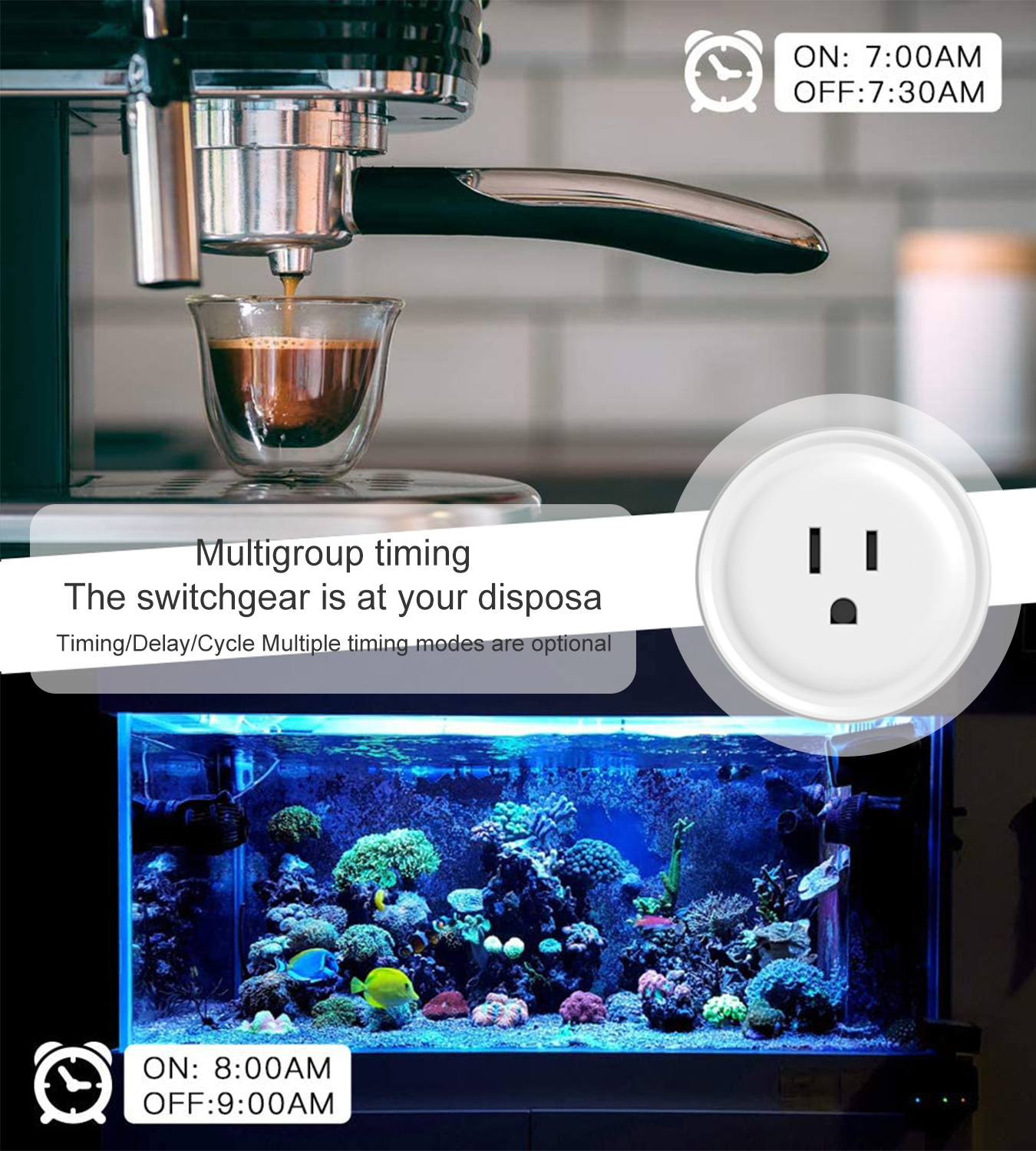 Tuya WiFi US Round 10A Smart P - đánh giá và giá Smart Home Wiz