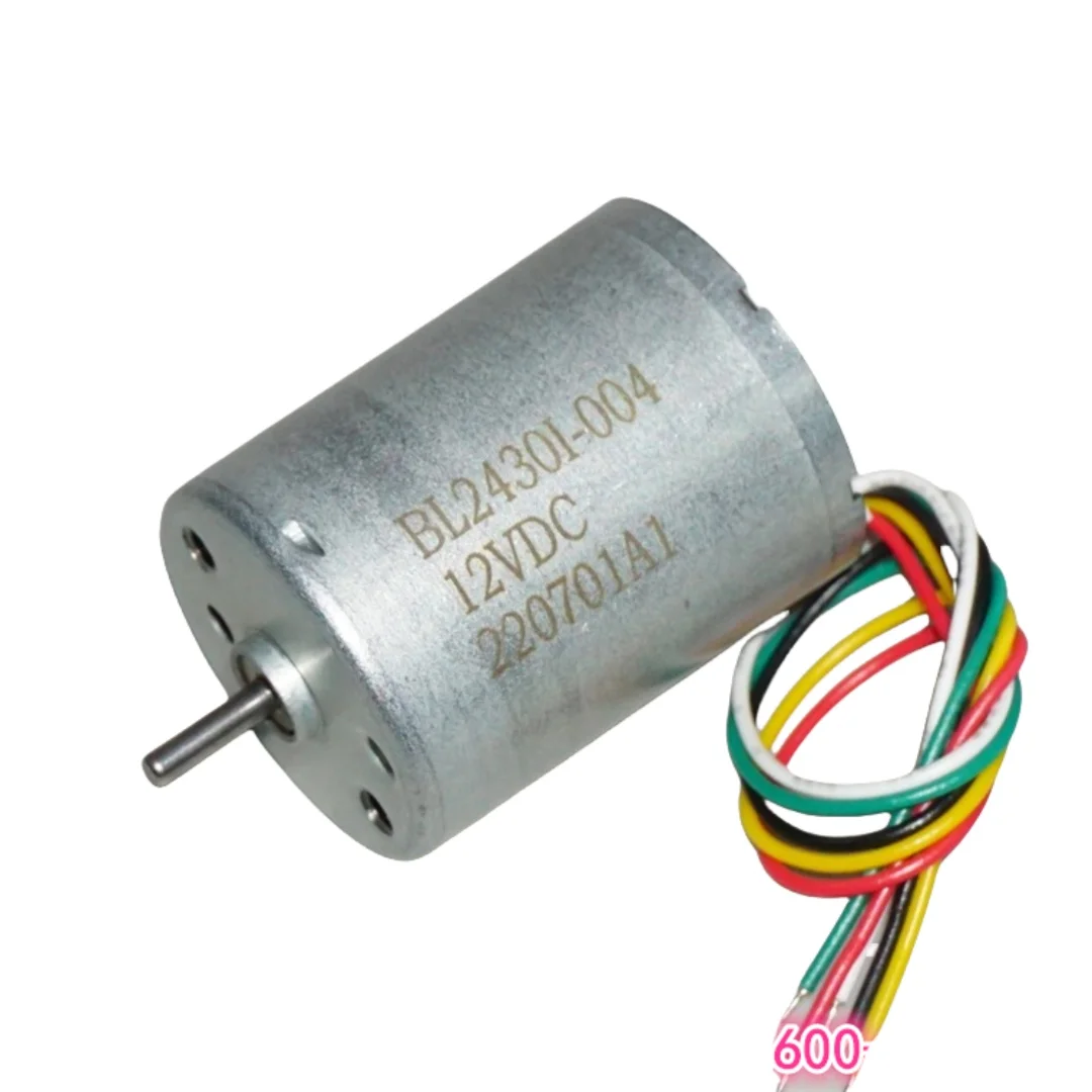 Electric Motor Brushless DC 12 - đánh giá và giá Smart Home Yam Pounder