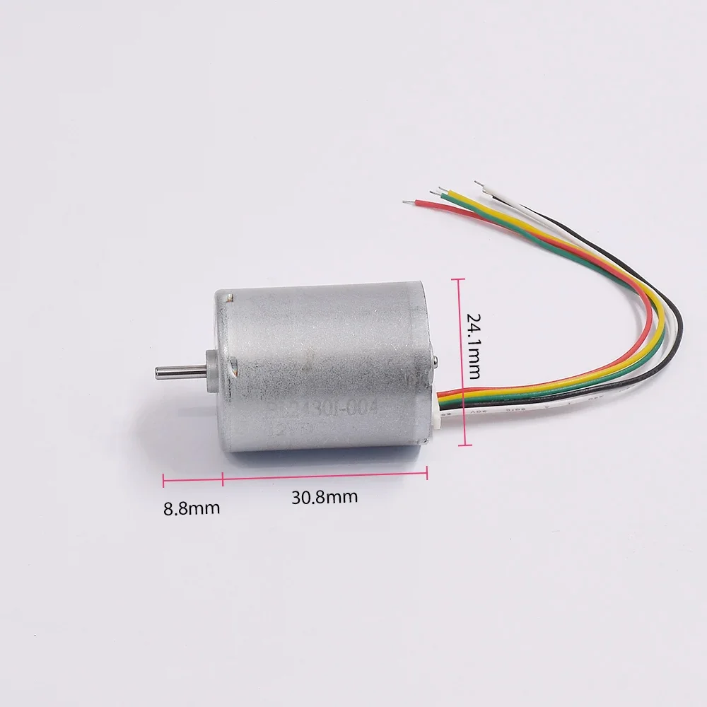 Electric Motor Brushless DC 12 - đánh giá và giá Smart Home Yam Pounder