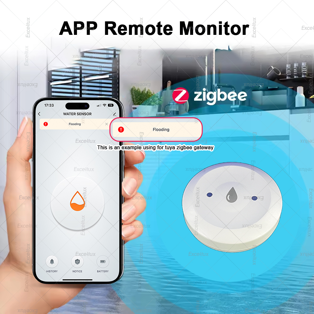 Zigbee Water Detector Leakage  - đánh giá và giá Wifi Water Sensor