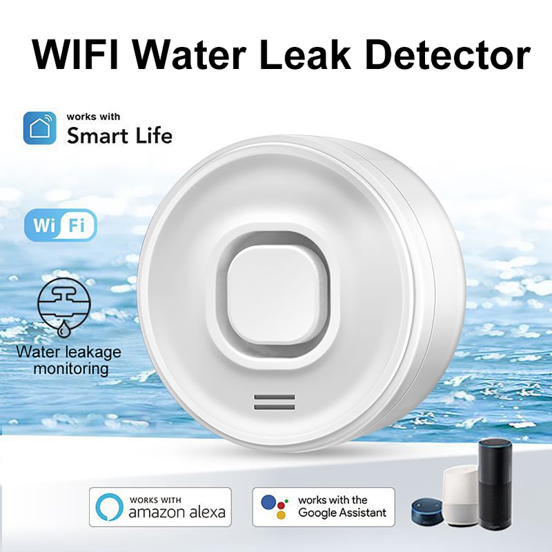Smart WIFI Water Leak Detector - đánh giá và giá Wifi Water Sensor