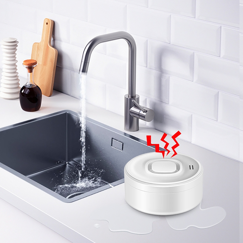 Smart WIFI Water Leak Detector - đánh giá và giá Wifi Water Sensor