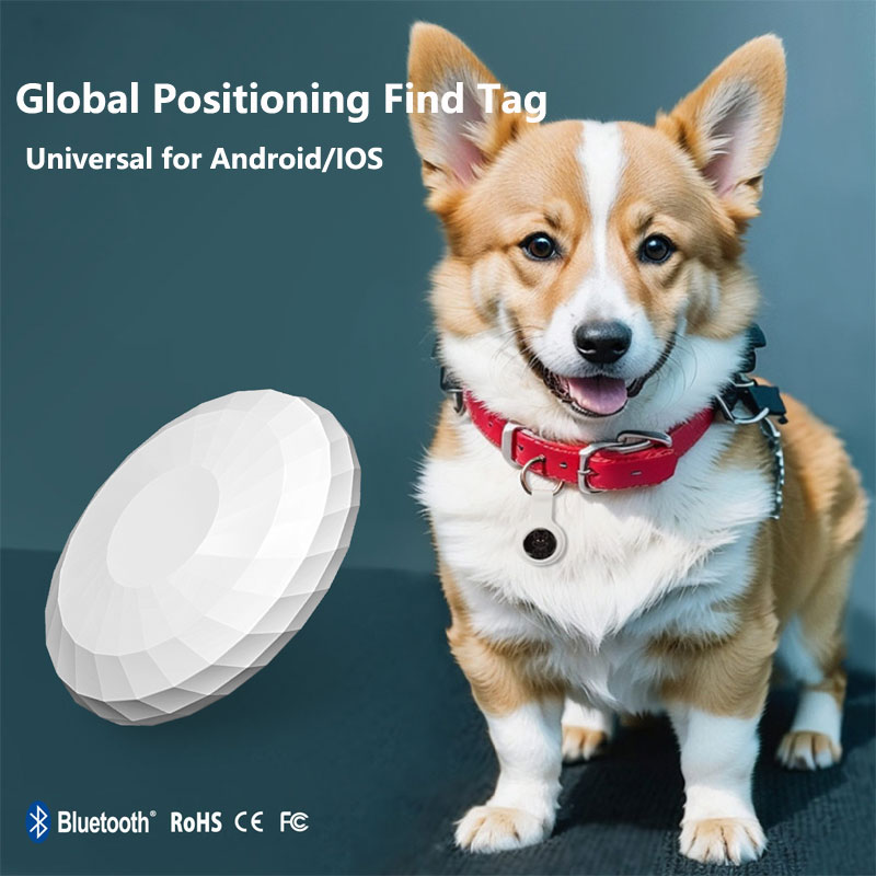 Smart Tag Really Global Positi - đánh giá và giá Smart Home Apple