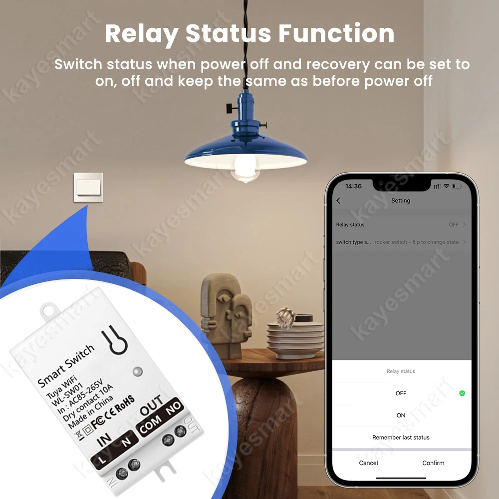 Tuya WiFi Smart Switch Module  - đánh giá và giá Smart Home Wiz