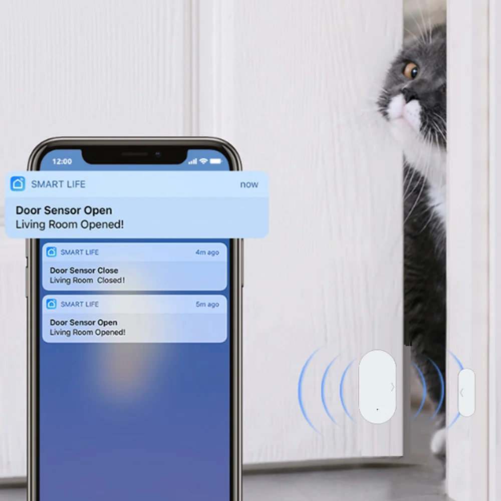 Tuya Zigbee Door Window Sensor - đánh giá và giá Smart Home Yandex