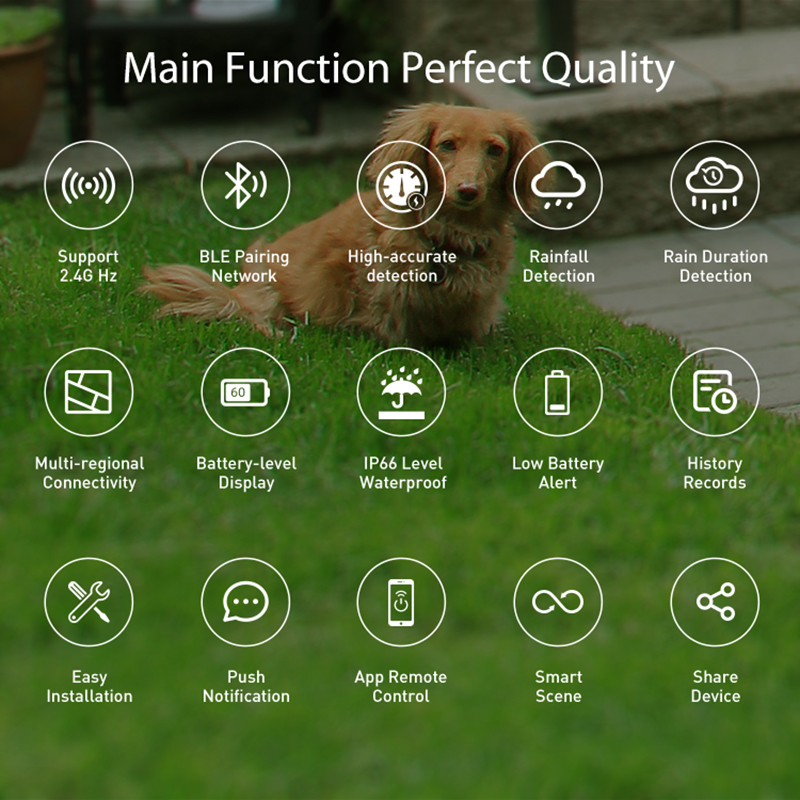 WiFi Rain Sensor Rainfall Dura - đánh giá và giá Wifi Water Sensor