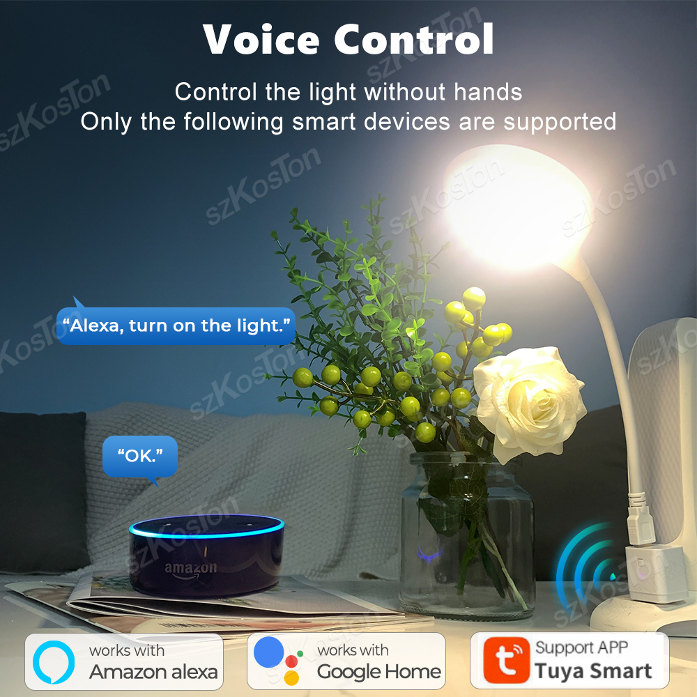 Tuya Smart WiFi Zigbee 1-3 Gan - đánh giá và giá Smart Outdoor Plug
